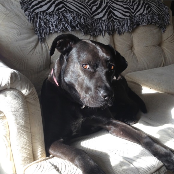 Meet your Posher, Tracy - Picture 1 of 1